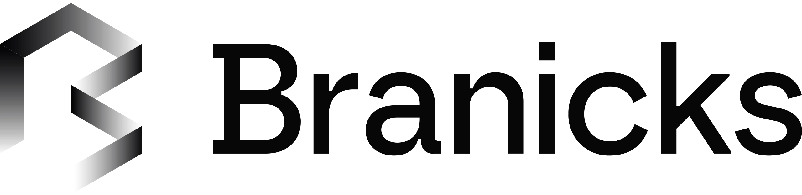 BRANICKS GROUP